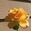 Jayla Mack - @aesthetic_jayla302 - TikTok