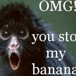 Jayla Rubinelli - Facebook