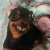 Jayla - @jayla.walker2 - TikTok