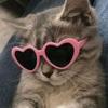 Jaylee Jamesison - @jaylee.jamesison - TikTok