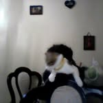jaylen mccray - @alicecoffeequeen - Instagram