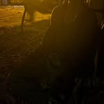 Jaylen - @jaylen_turner_ - Instagram