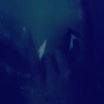 jayln.brown - @jayln.brown8 - Instagram