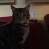 jayme.chase - @jayme.chase - TikTok