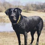 Jayme Cook - @jayme.cook - Instagram