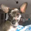 jaymehenrycardin - @jaymehenrycardin - TikTok