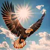 Jayme Lopez Bernardo - @user4988727830360 - TikTok