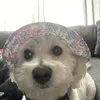 jaymeeparkerrr.2 - @jaymeeparker - TikTok