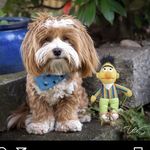 Jaime Warner - @jaime_31782 - Instagram