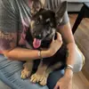 Jamie Warner - @jamwarn1977 - TikTok
