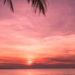 jayme watson spears - @jaymewatsonspears9898797 - Instagram