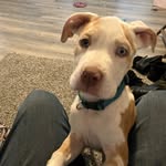 Jayme Wells - @jaymewells47 - Instagram