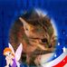Jaymie richard silva - Facebook