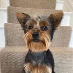 Jayne Allison - @jayne.allison.52 - Instagram