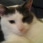 Jayne Allison - @jayne.allison.68 - Instagram
