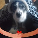 Jayne Allison - @jayne_allison - Instagram