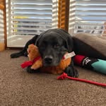 Jane Baird - @jane.baird.927 - Instagram