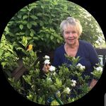 Jayne Baldwin - @jayne.baldwin.92 - Instagram