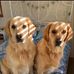 Jayne Barnes - Facebook