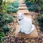 Jayne Barton - @jayne.barton.98 - Instagram