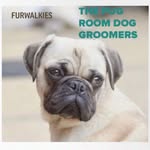 Jayne Barton - @the_pug_room_dog_groomers - Instagram