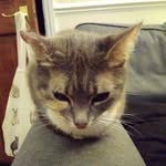 Jayne Barton - @jayne.barton.1272 - Instagram
