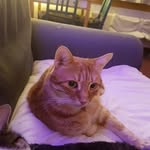 Jayne Barton - @jayne.barton.52 - Instagram