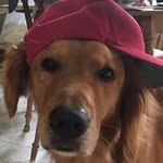 Jane Berger - @jbcorno - Instagram