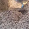 jayneberger - @jayneberger - TikTok