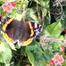 Jayne Best - Facebook