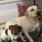 Jayne Billings - @billingsmont125 - Instagram