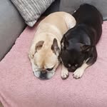 Jane Bingham - @janeb1236 - Instagram