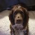 Jayne Bingham - Facebook