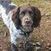 Jayne Bingham - Facebook