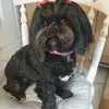 Jayne Bingham - @jayne.bingham - TikTok