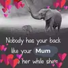 jaynebishop190 - @jaynebishop190 - TikTok