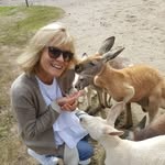 Jayne Bittner - @jaynebittner - Instagram