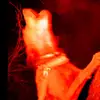 Blake Jaynes - @blakejaynes89 - TikTok