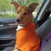 Jane Bowers - Facebook