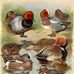 Jane Bowers - Facebook
