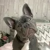 Jane Boyle - @jane.boyle3 - TikTok