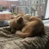 jaynebradley301 - @jaynebradley301 - TikTok