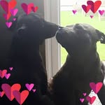 Jane Brewster - @be_with_your_breath23 - Instagram