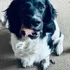 Jayne Marie Brewster - @jayne.marie.brews - TikTok