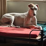 Jayne Marie Brewster - @jbrewster64 - Instagram