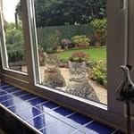 Jayne Bridger - @bridgerjayne - Instagram