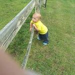 Janet Crabtree - @janet.crabtree - Instagram