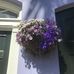 Jane Cronin - Facebook