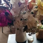 Jayne Davidson - Facebook