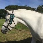 Jayne Davidson - @jaynelouisedavidson - Instagram
